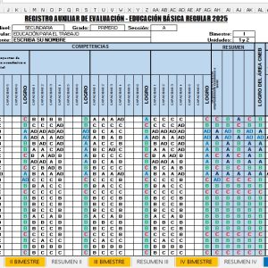 REGISTRO AUXILIAR DE EVALUACION 2025
