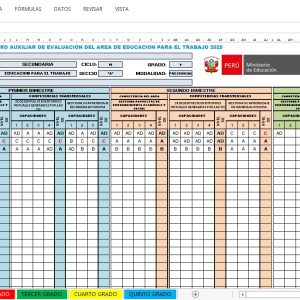 Registro Auxiliar de Evaluacion de EPT 2025